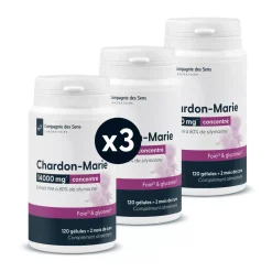 Chardon-Marie concentré