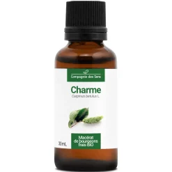 Charme bio (Carpinus Betulus) – Macérat concentré de bourgeons frais