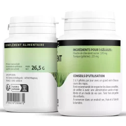 Chiendent – Elymus repens – 100 gélules de 190 mg