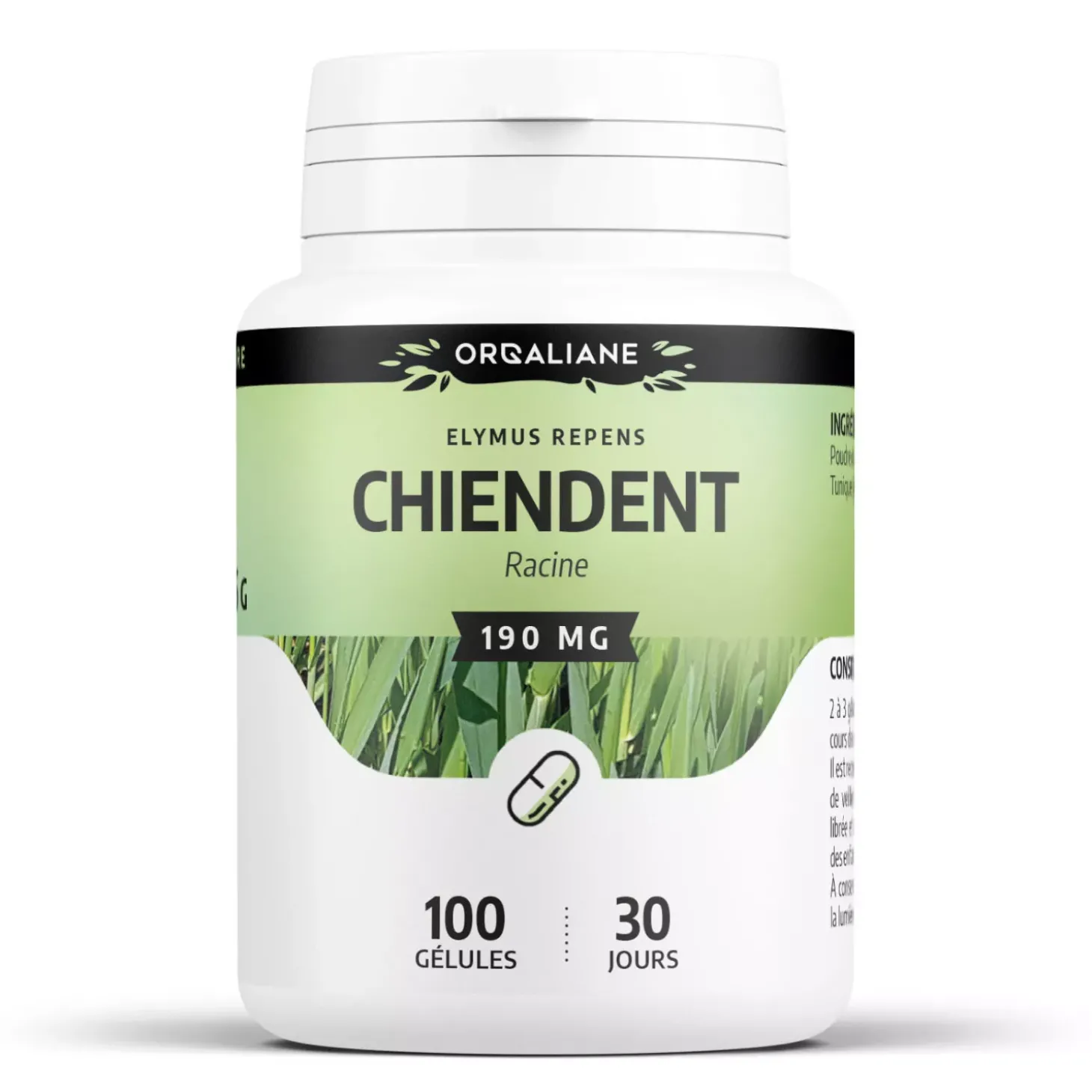 Chiendent – Elymus repens – 100 gélules de 190 mg