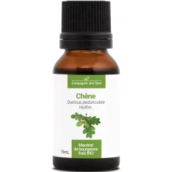 Chêne bio (Quercus Pedunculata) – Macérat concentré de bourgeons frais