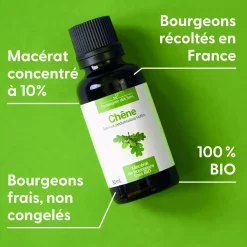 Chêne bio (Quercus Pedunculata) – Macérat concentré de bourgeons frais