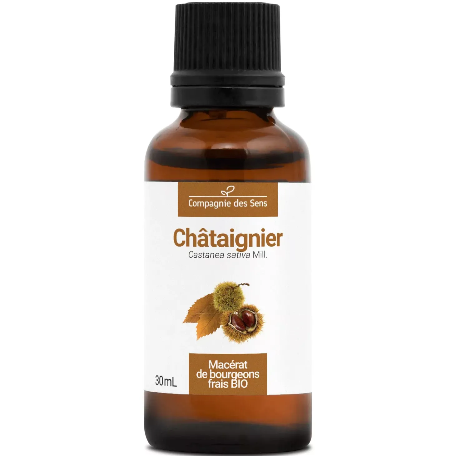 Châtaignier bio (Castanea Sativa) – Macérat concentré de bourgeons frais