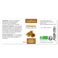 Châtaignier bio (Castanea Sativa) – Macérat concentré de bourgeons frais