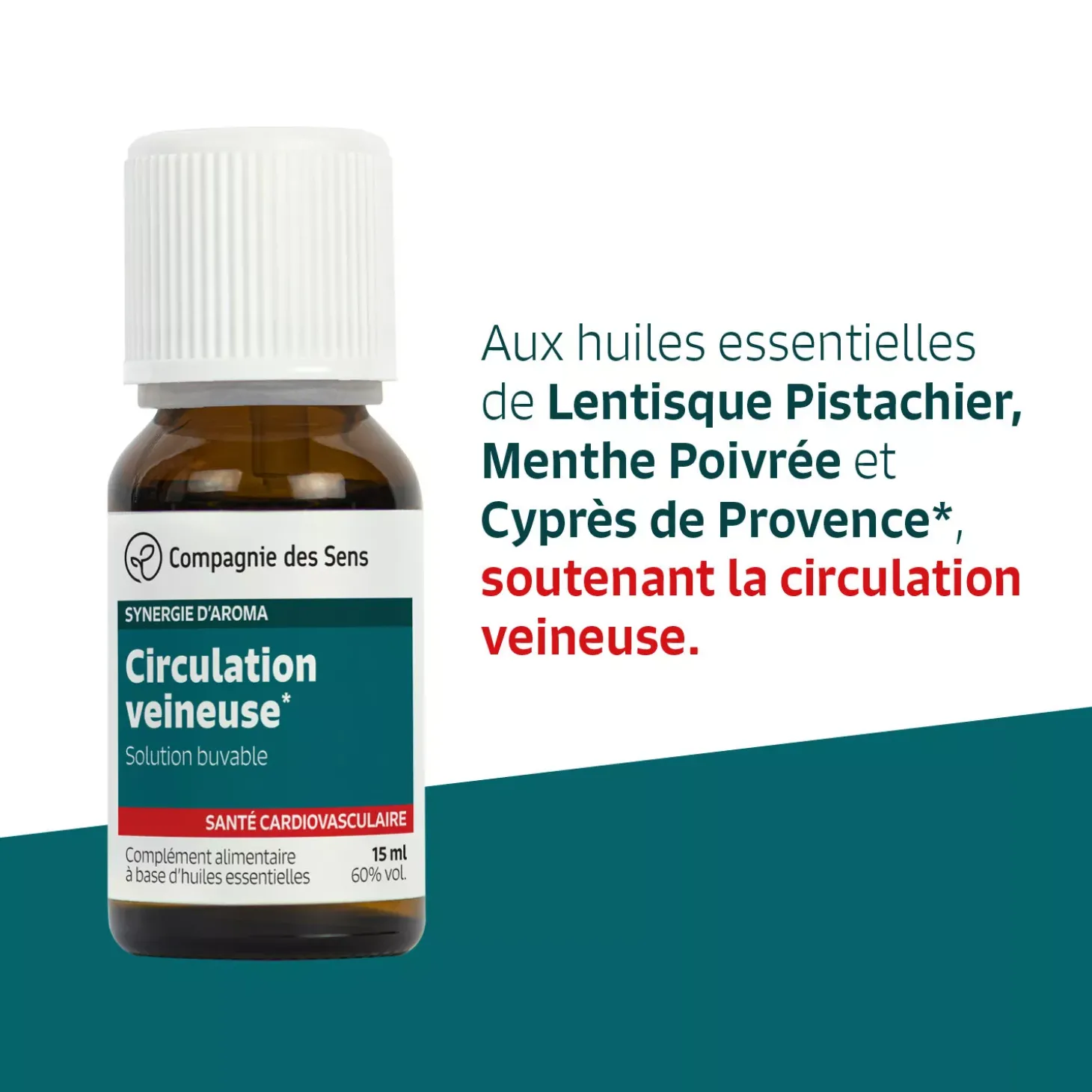 Circulation veineuse