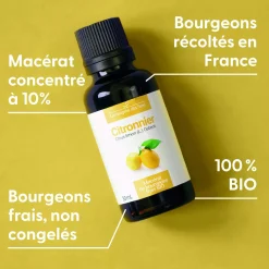Citronnier bio (Citrus Limon) – Macérat concentré de bourgeons frais