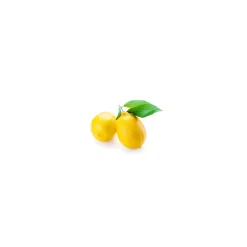 Citronnier bio (Citrus Limon) – Macérat concentré de bourgeons frais