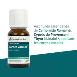 Cordes vocales
