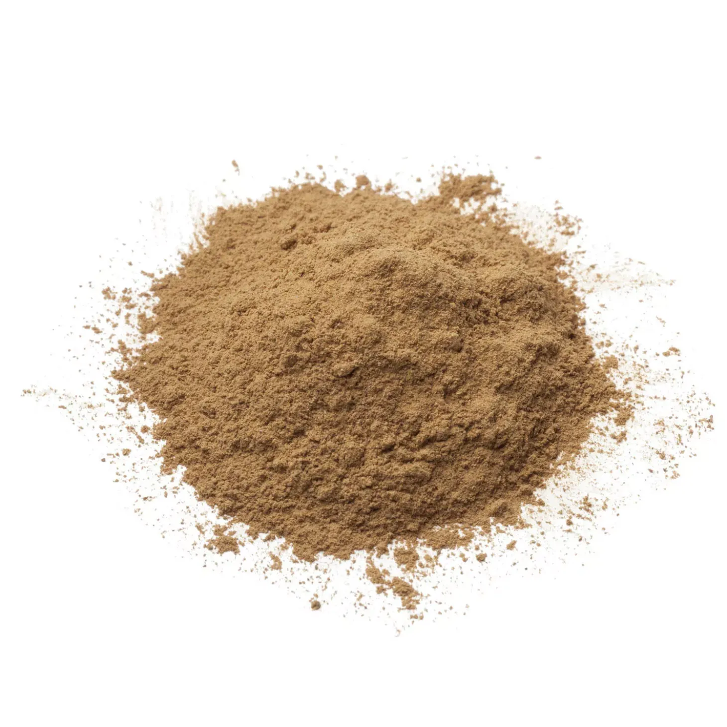 Cordyceps bio