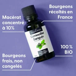 Cornouiller Sanguin bio (Cornus Sanguinea) – Macérat concentré de bourgeons frais