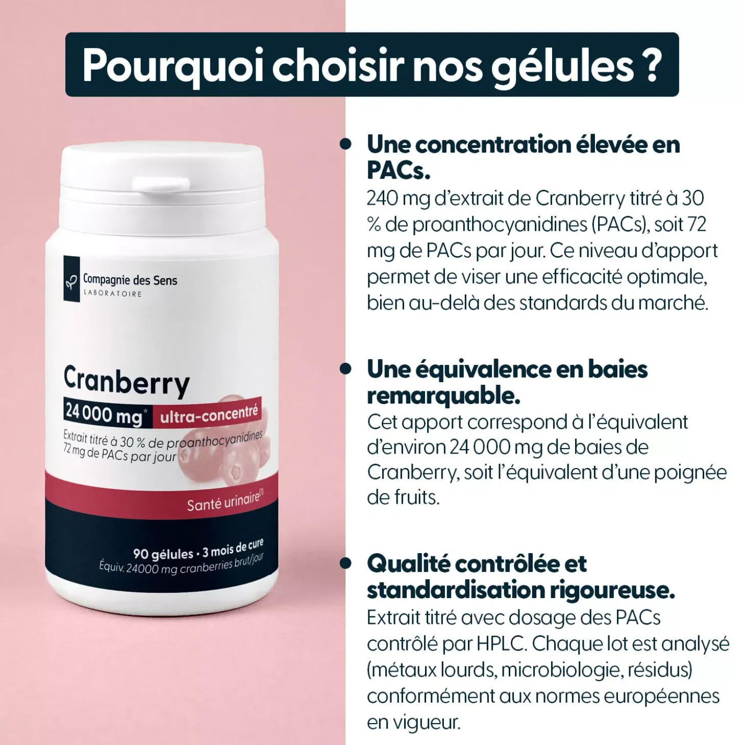 Cranberry concentrée