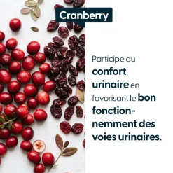 Cranberry concentrée