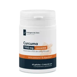 Curcuma concentré