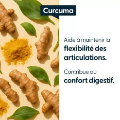 Curcuma concentré