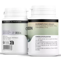 Cynorrhodon (Églantier) – Rosa canina – 100 gélules de 300 mg