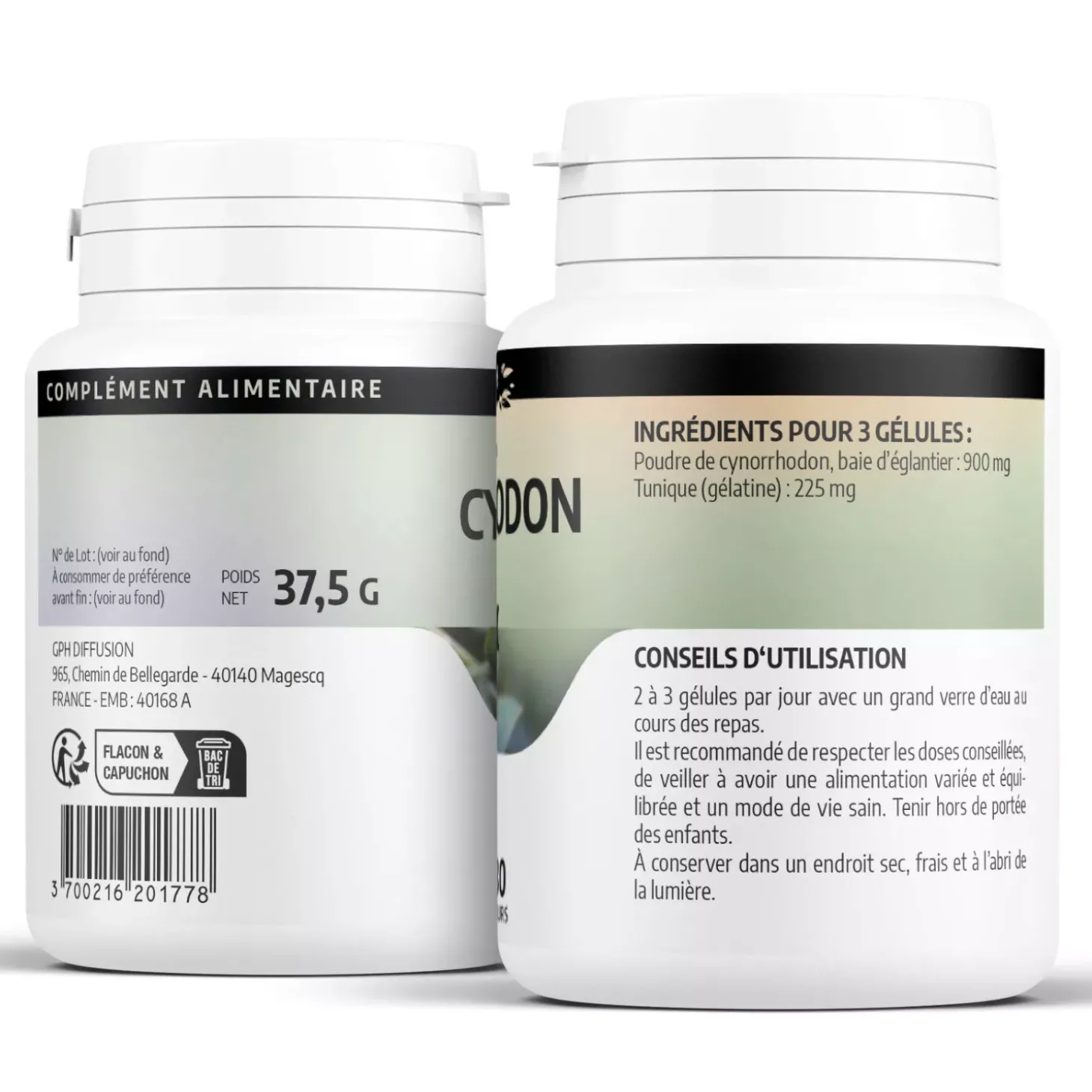 Cynorrhodon (Églantier) – Rosa canina – 100 gélules de 300 mg