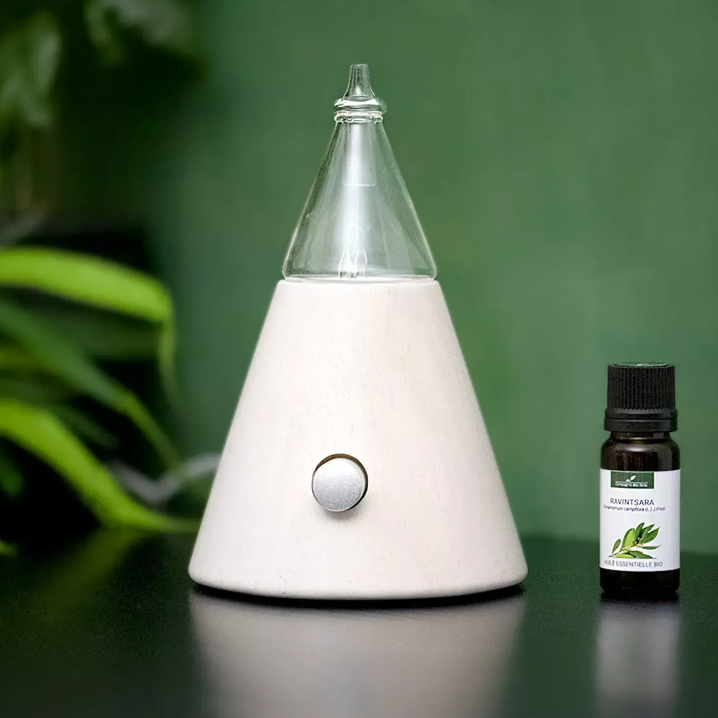 Diffuseur Abies