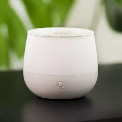 Diffuseur Rosae