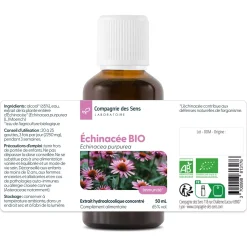 Echinacée bio (Echinacea Purpurea) – Extrait hydroalcoolique concentré
