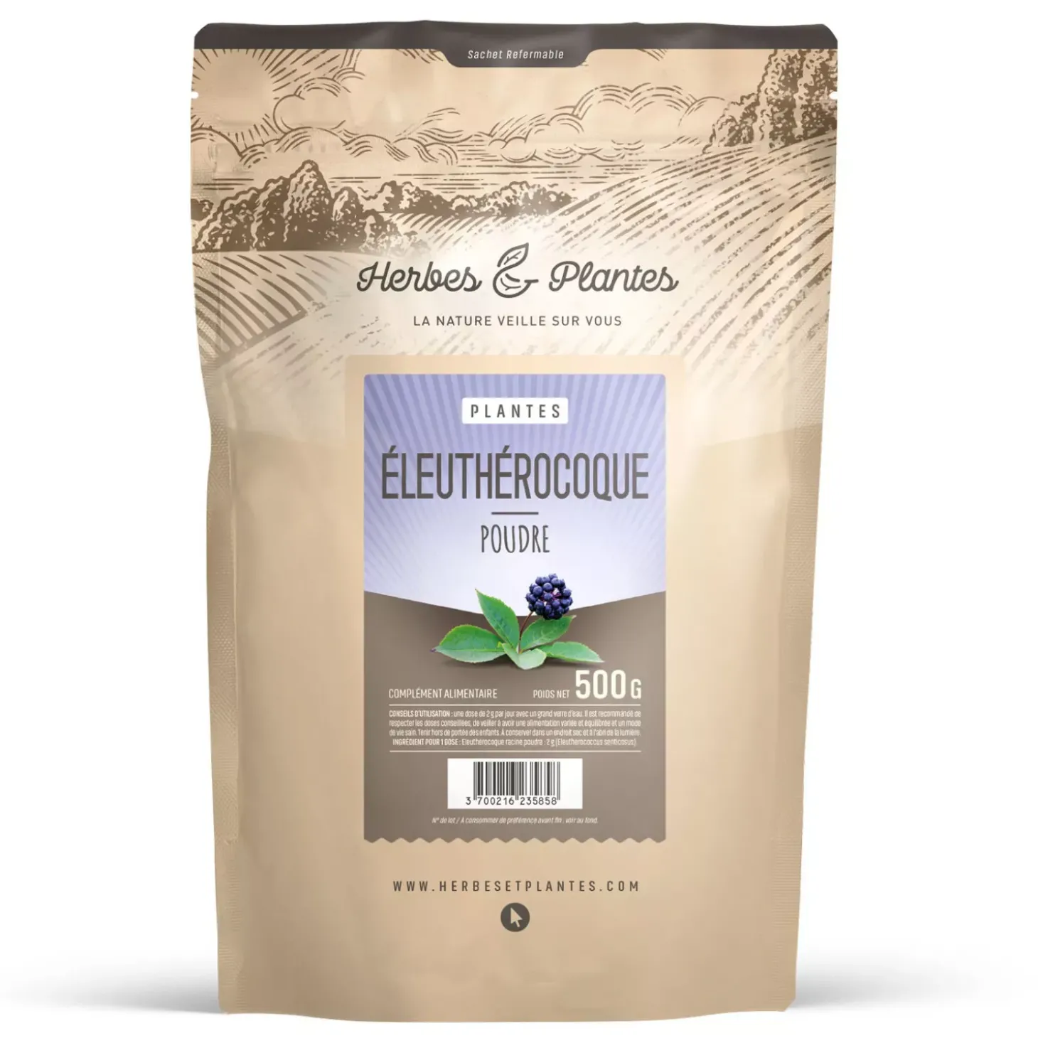 Eleuthérocoque