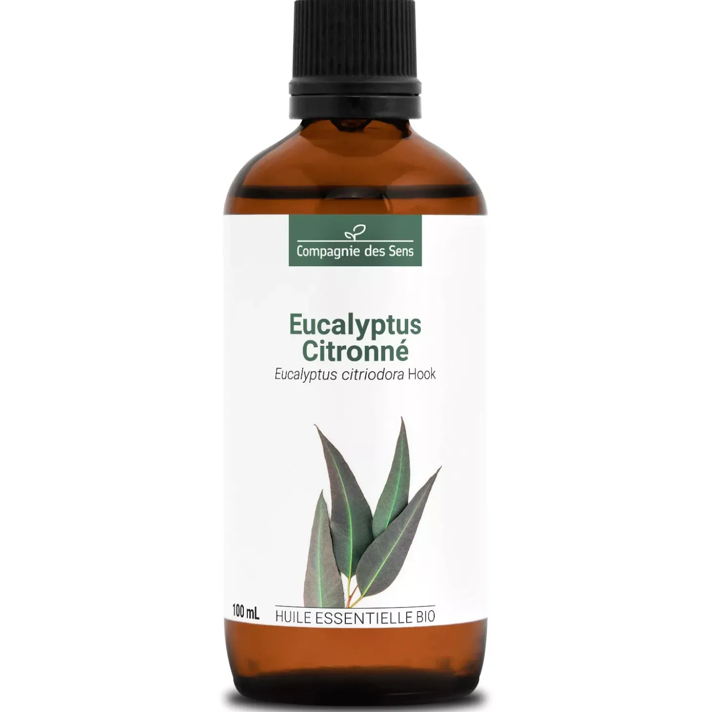 Eucalyptus citronné