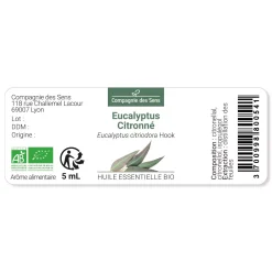 Eucalyptus citronné