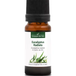 Eucalyptus radiata