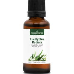 Eucalyptus radiata