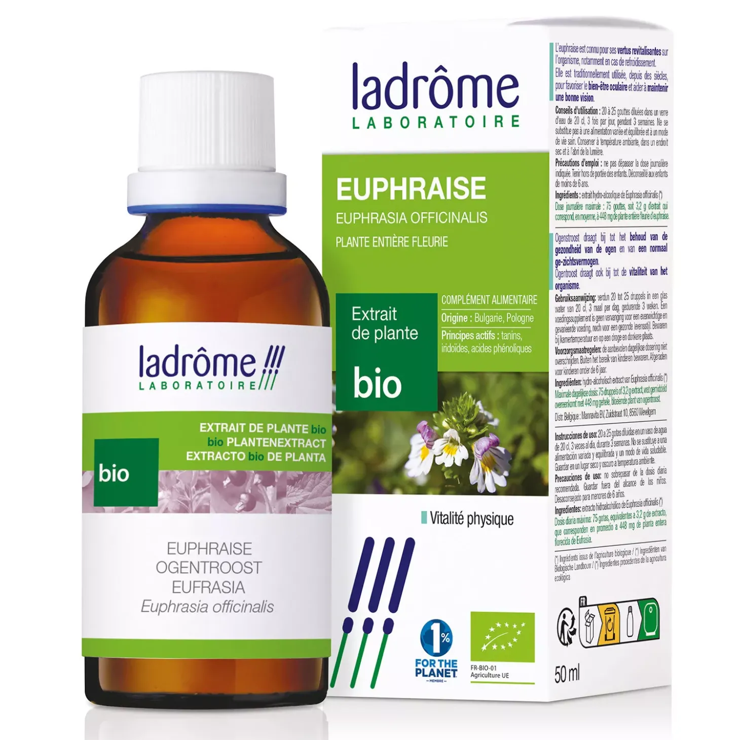 Euphraise bio – Euphrasia Officinalis – Extrait hydroalcoolique concentré