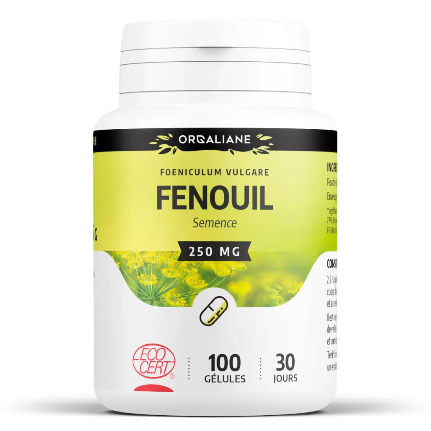 Fenouil bio