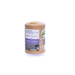 Fenouil Bio