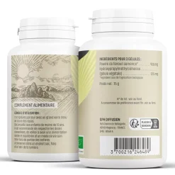Fenouil bio