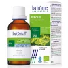 Fenouil bio – Foeniculum Vulgare – Extrait hydroalcoolique concentré