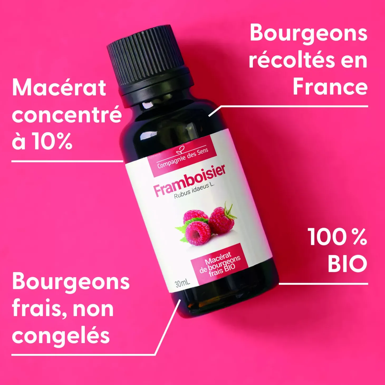Framboisier bio (Rubus Idaeus) – Macérat concentré de bourgeons frais