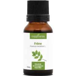 Frêne bio (Fraxinus Excelsior) – Macérat concentré de bourgeons frais
