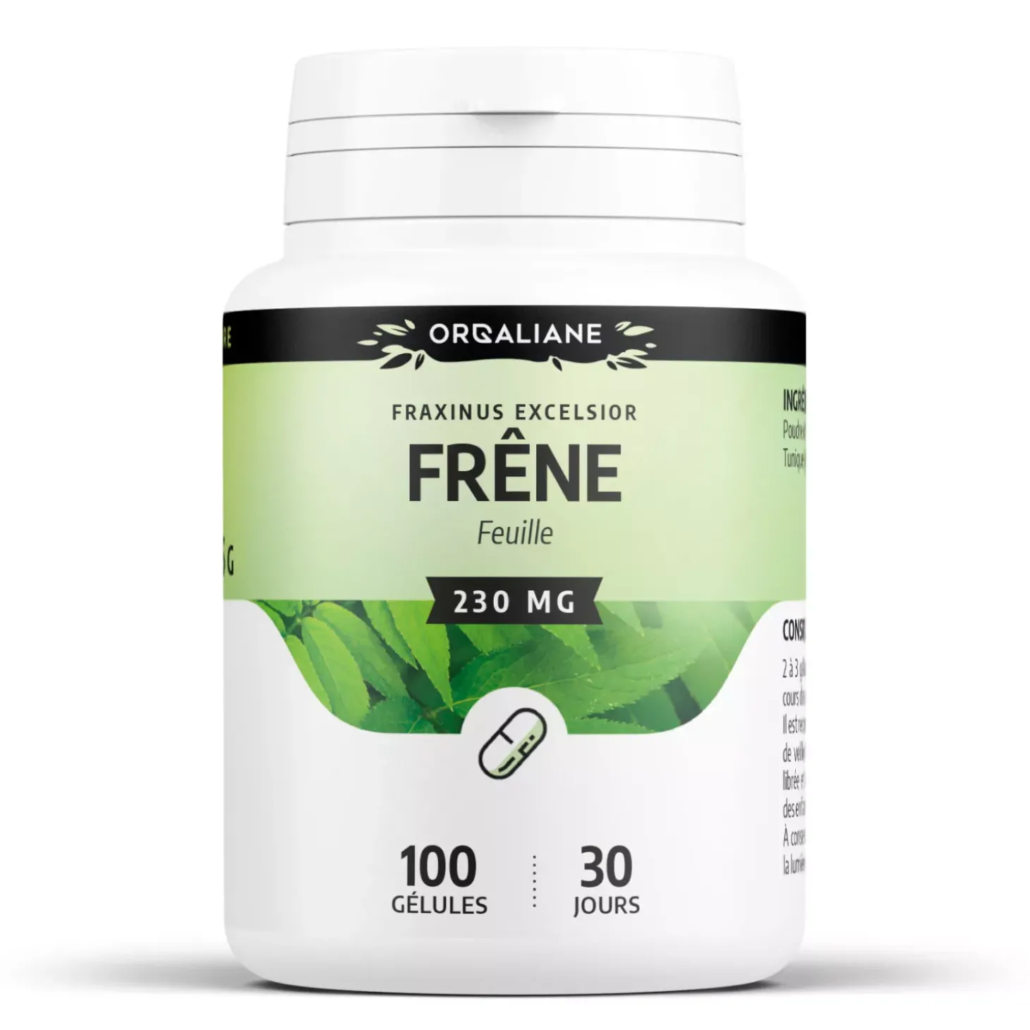 Frêne – Fraxinus excelsior – 100 gélules de 230 mg