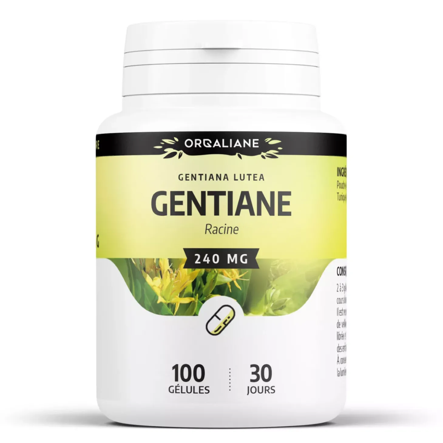 Gentiane – Gentiana lutea – 100 gélules de 240 mg