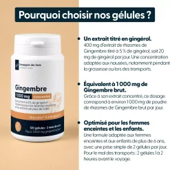Gingembre concentré