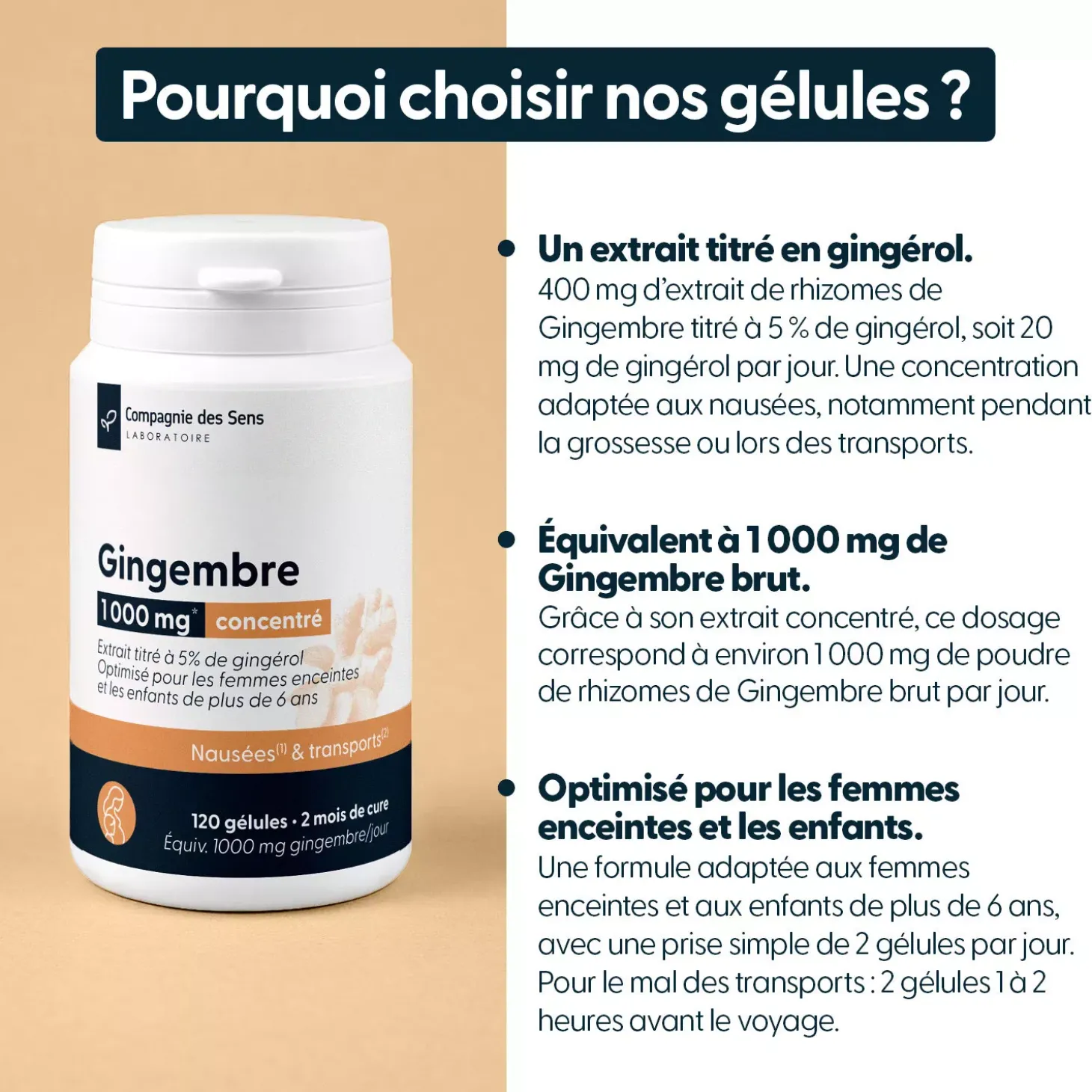 Gingembre concentré