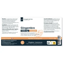 Gingembre concentré