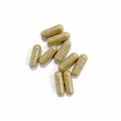 Ginkgo Biloba bio Extra Fort