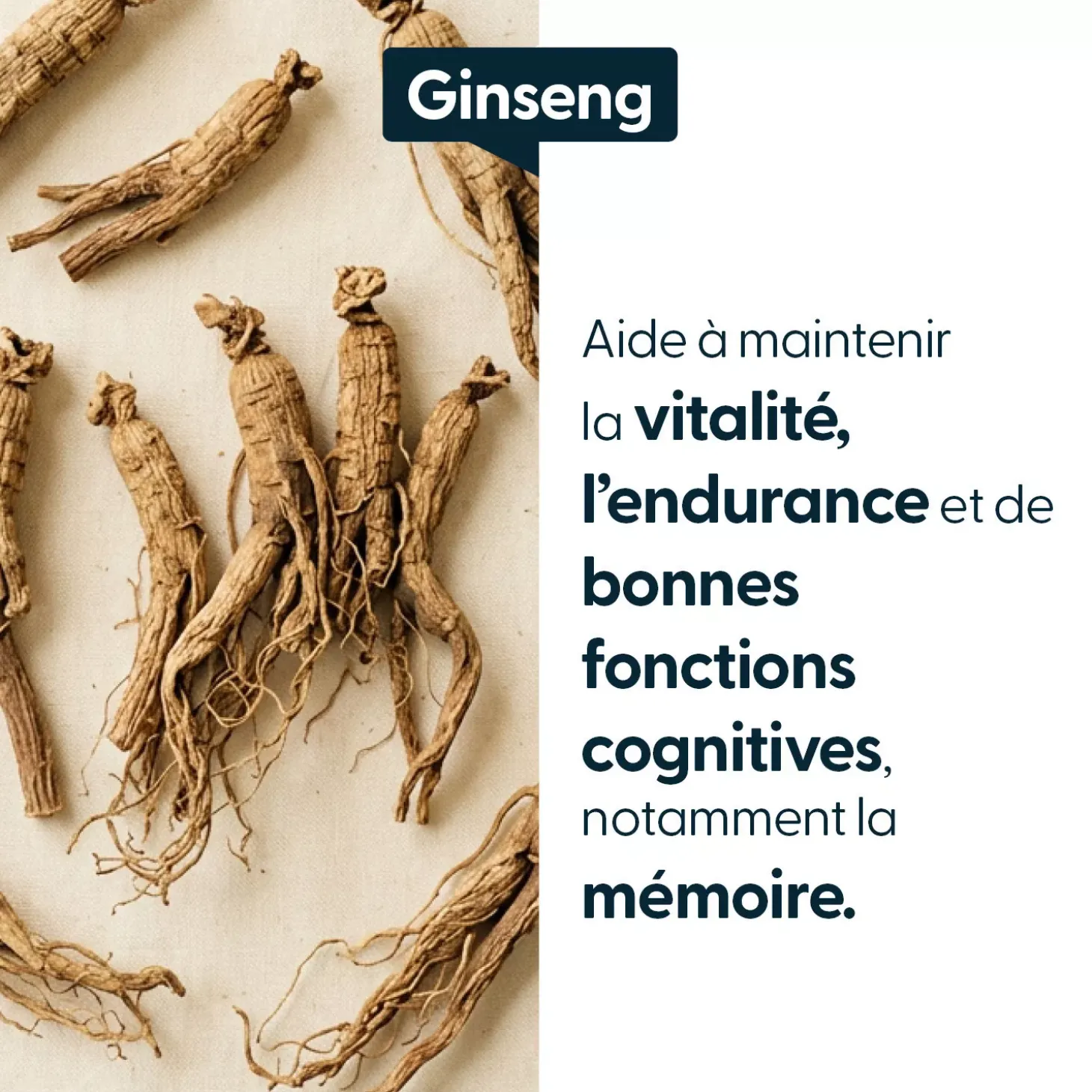 Ginseng concentré