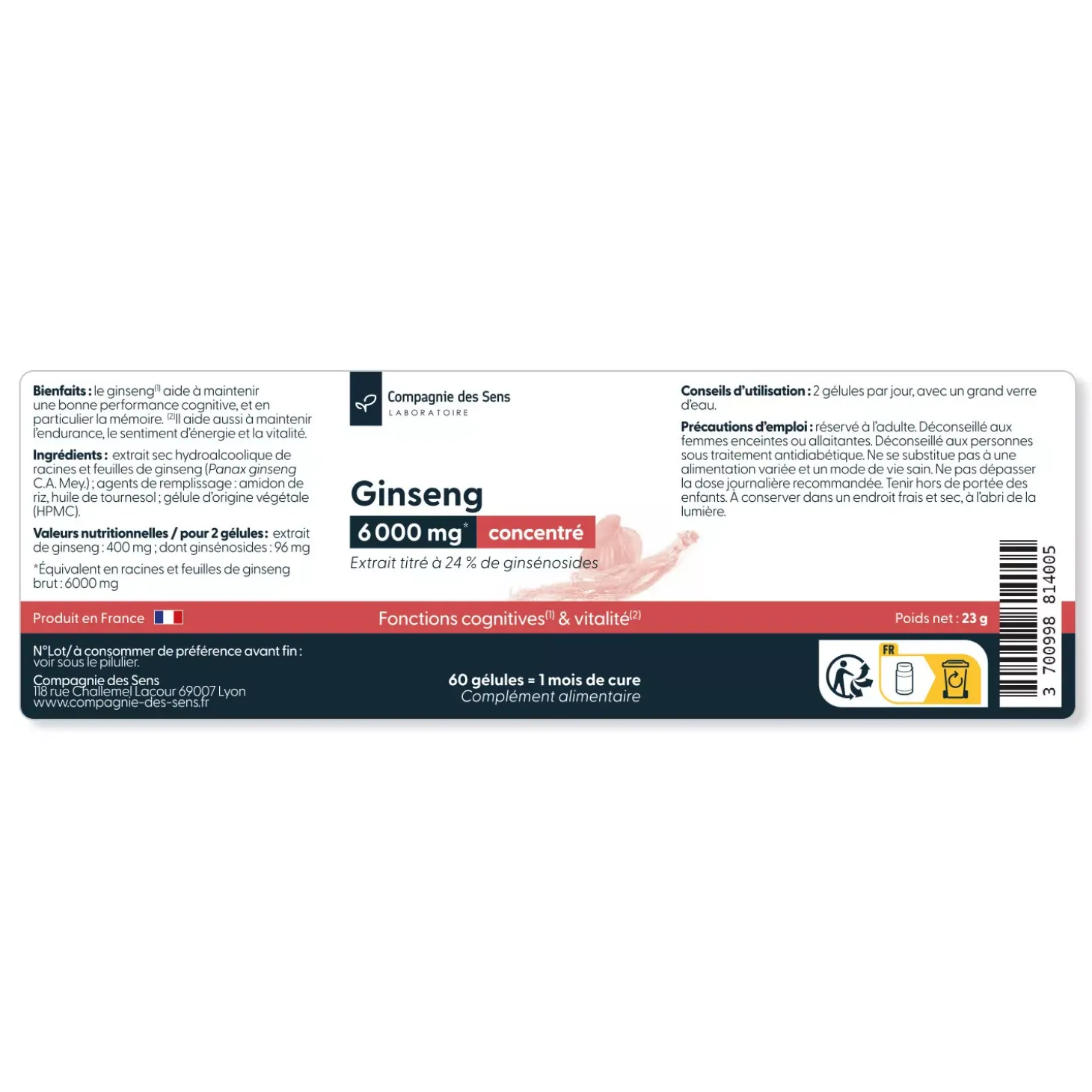 Ginseng concentré