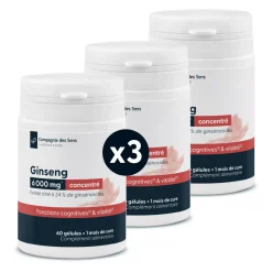 Ginseng concentré