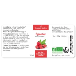 Églantier bio (Rosa Canina) – Macérat concentré de bourgeons frais