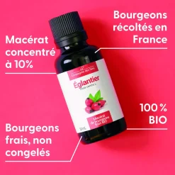 Églantier bio (Rosa Canina) – Macérat concentré de bourgeons frais