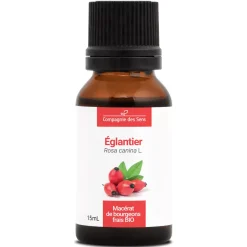 Églantier bio (Rosa Canina) – Macérat concentré de bourgeons frais