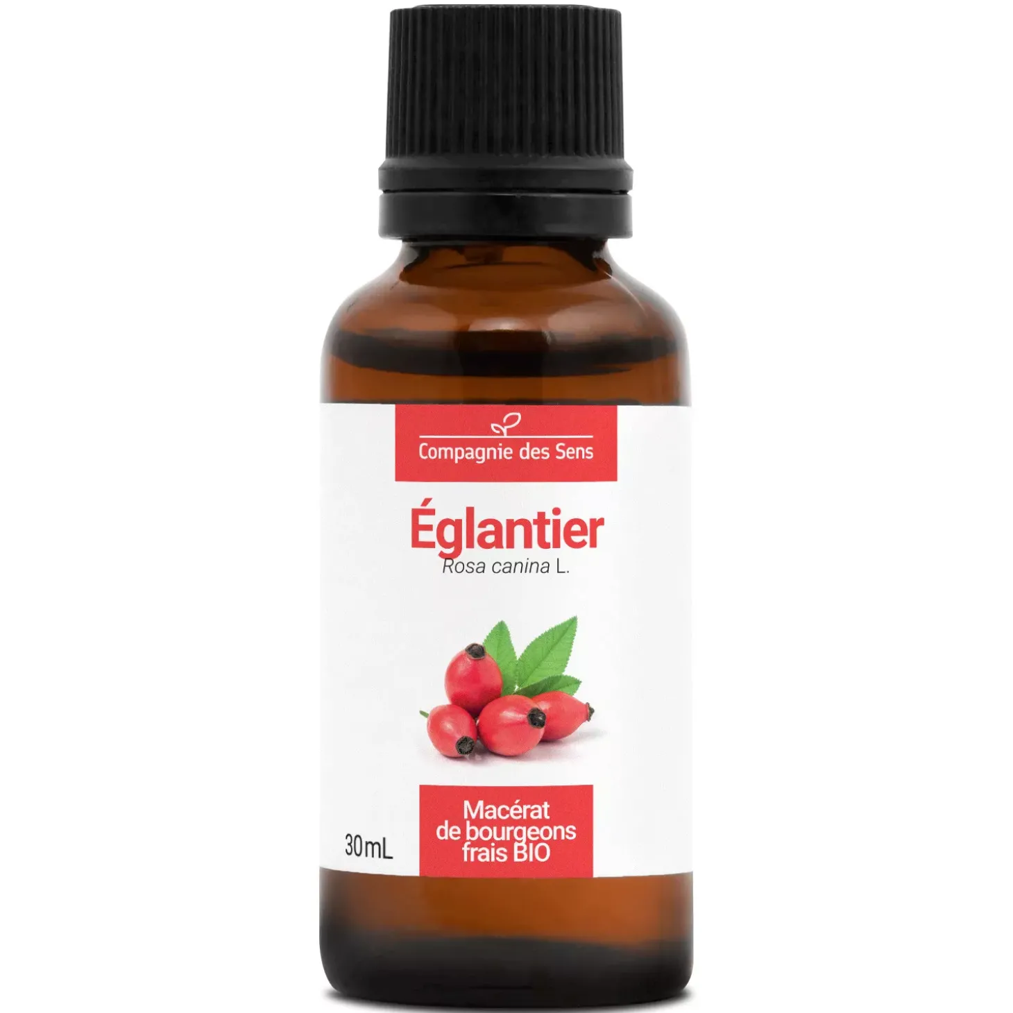 Églantier bio (Rosa Canina) – Macérat concentré de bourgeons frais