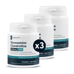Glucosamine 2kcl + Chondroïtine sodique + msm