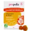 Gommes de Propolis bio au Gingembre